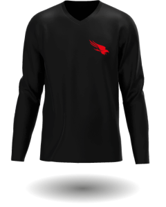 CAMISETA MANGA LONGA CROWDSTRIKE - PRETA